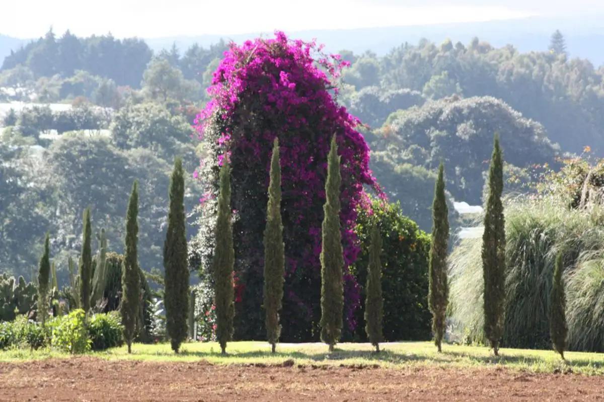 secondary property images 3