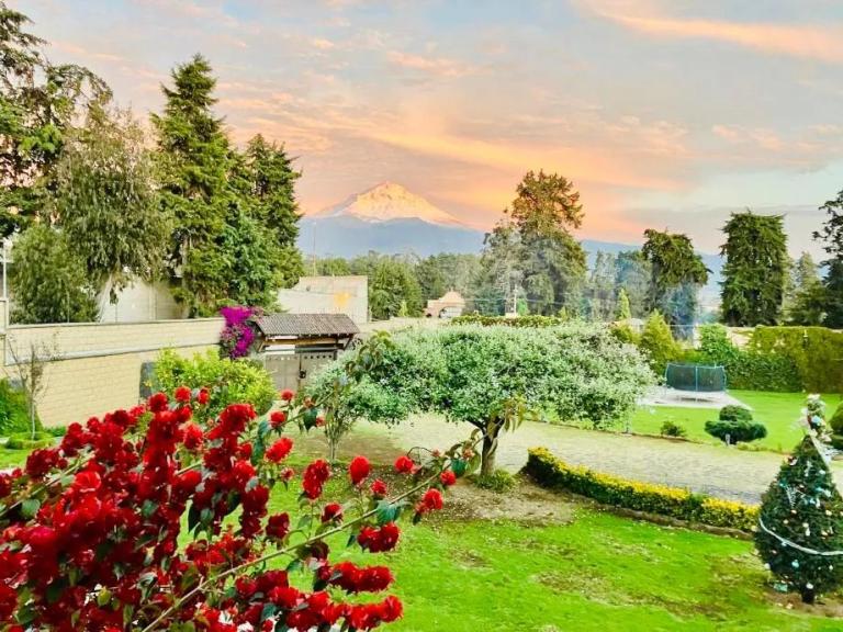 Property Image Property Image