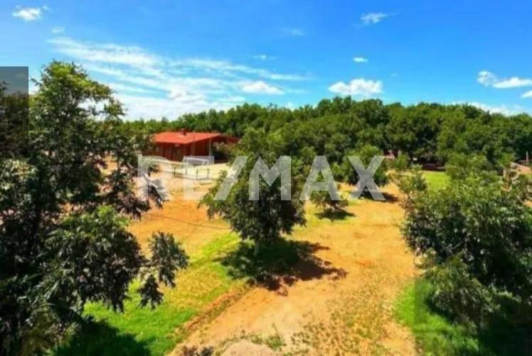 Property Image Property Image