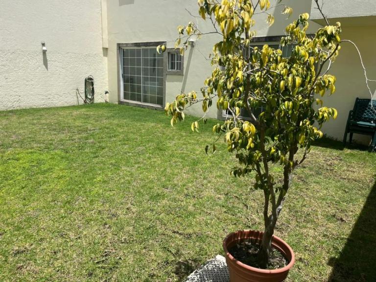 Property Image Property Image