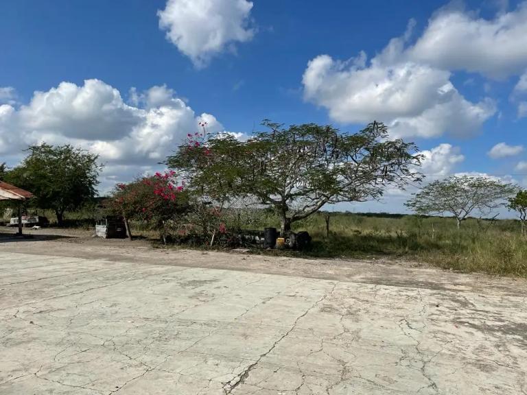 Property Image Property Image