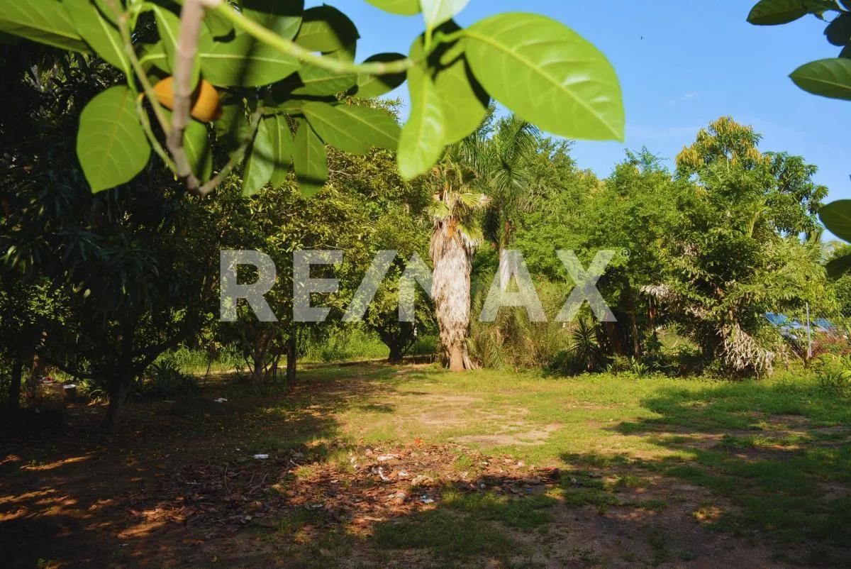 main property photo