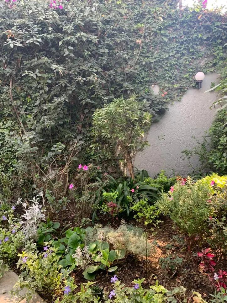 secondary property images 2