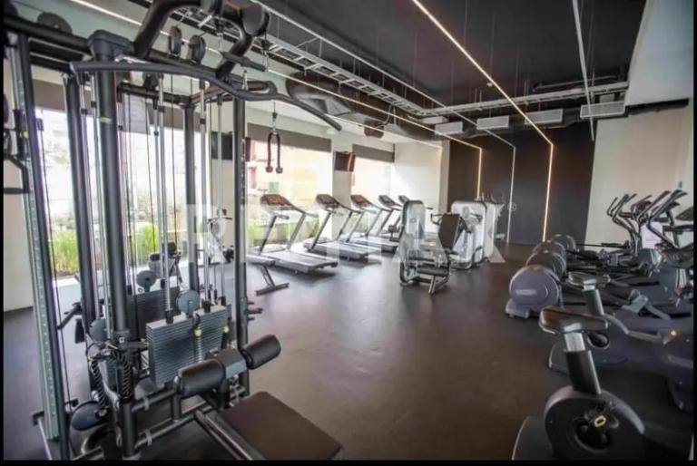 Property Image Property Image