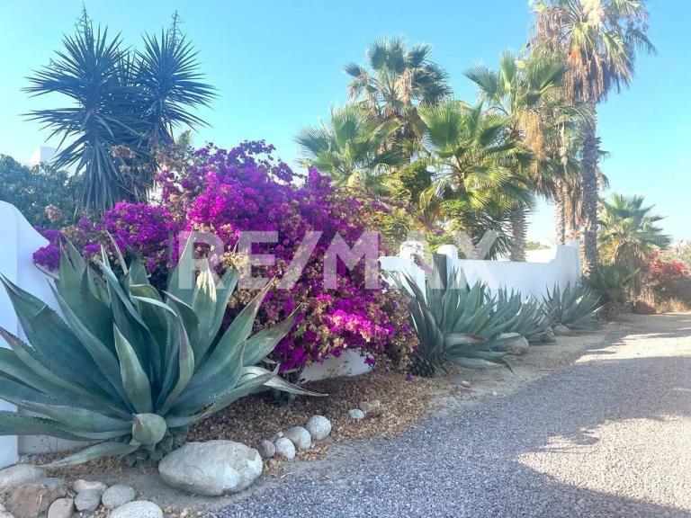 Property Image Property Image