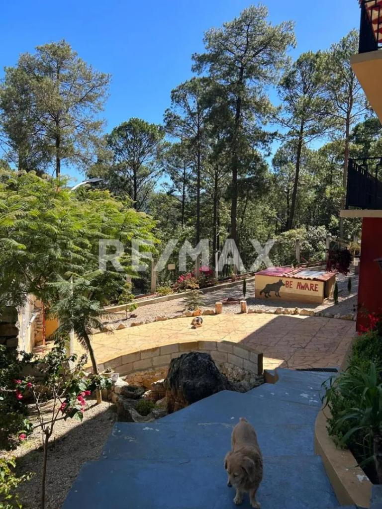 Property Image Property Image