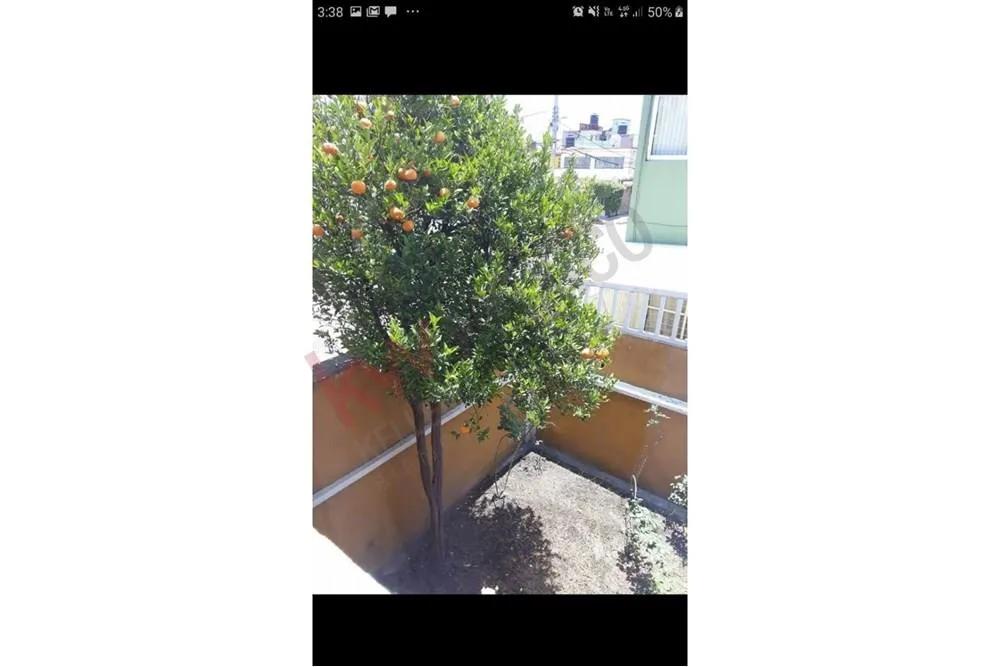 secondary property images 1