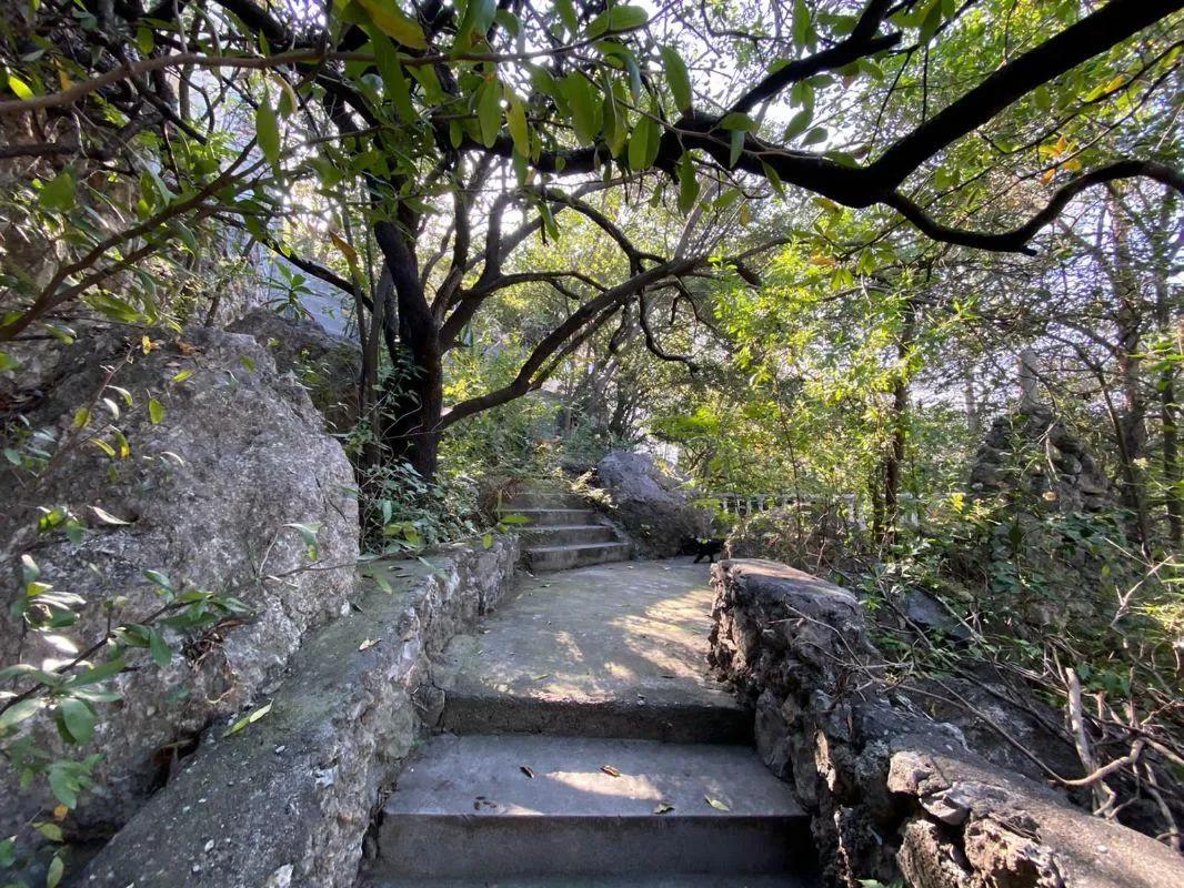 secondary property images 3