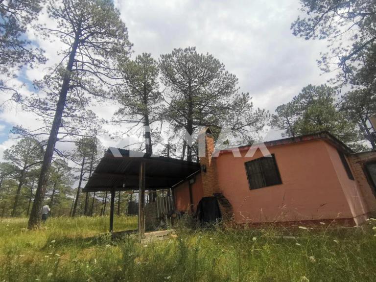 Property Image Property Image