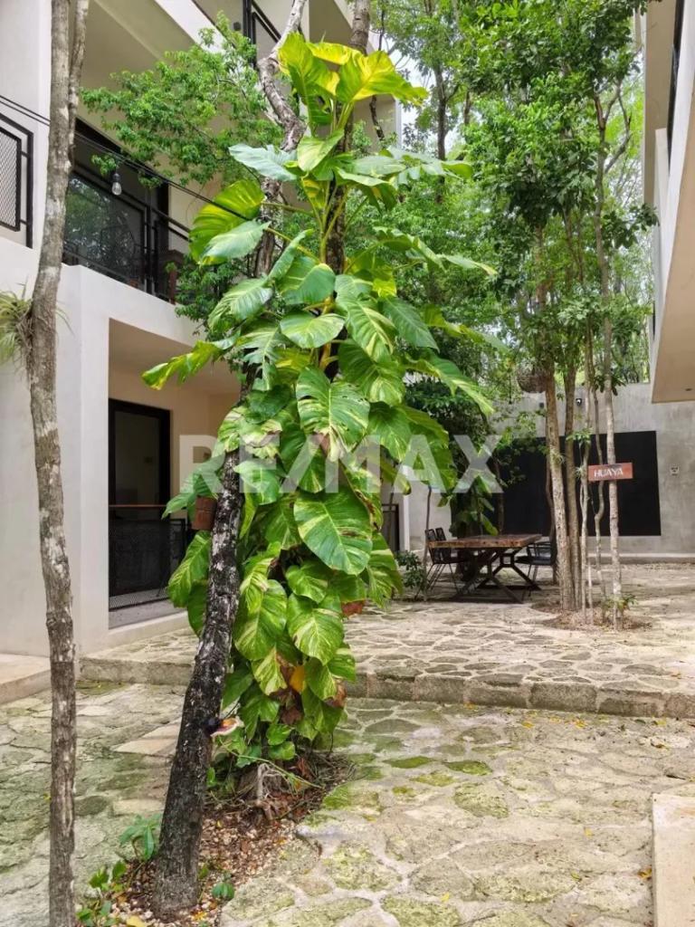 Property Image Property Image