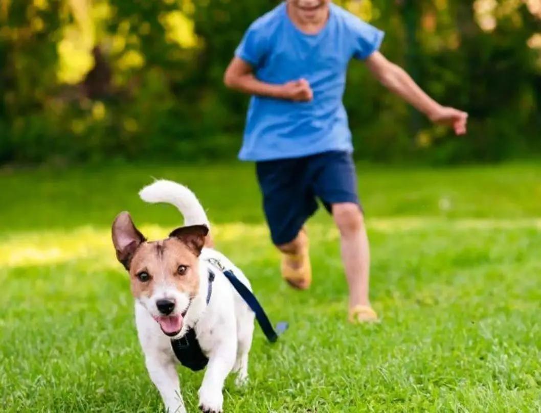 secondary property images 1