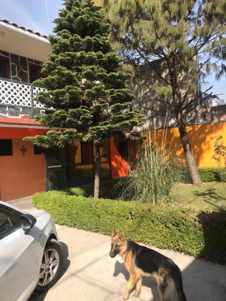 Property Image Property Image