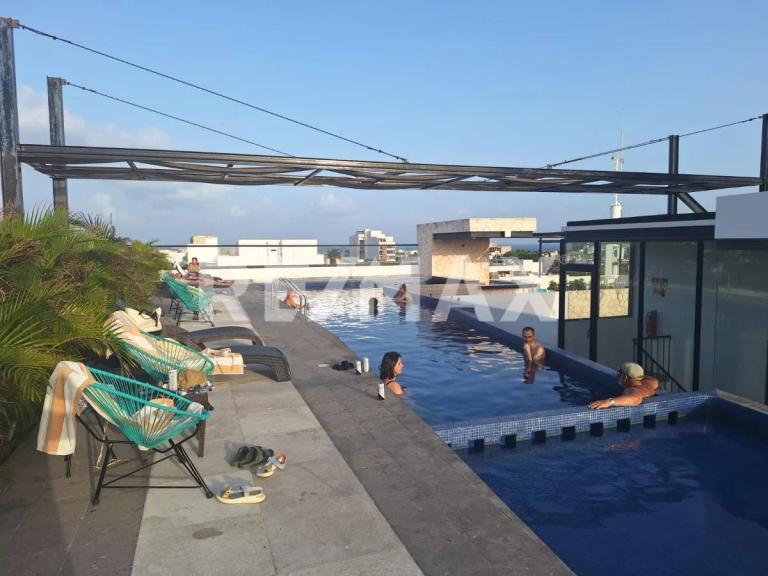 Property Image Property Image