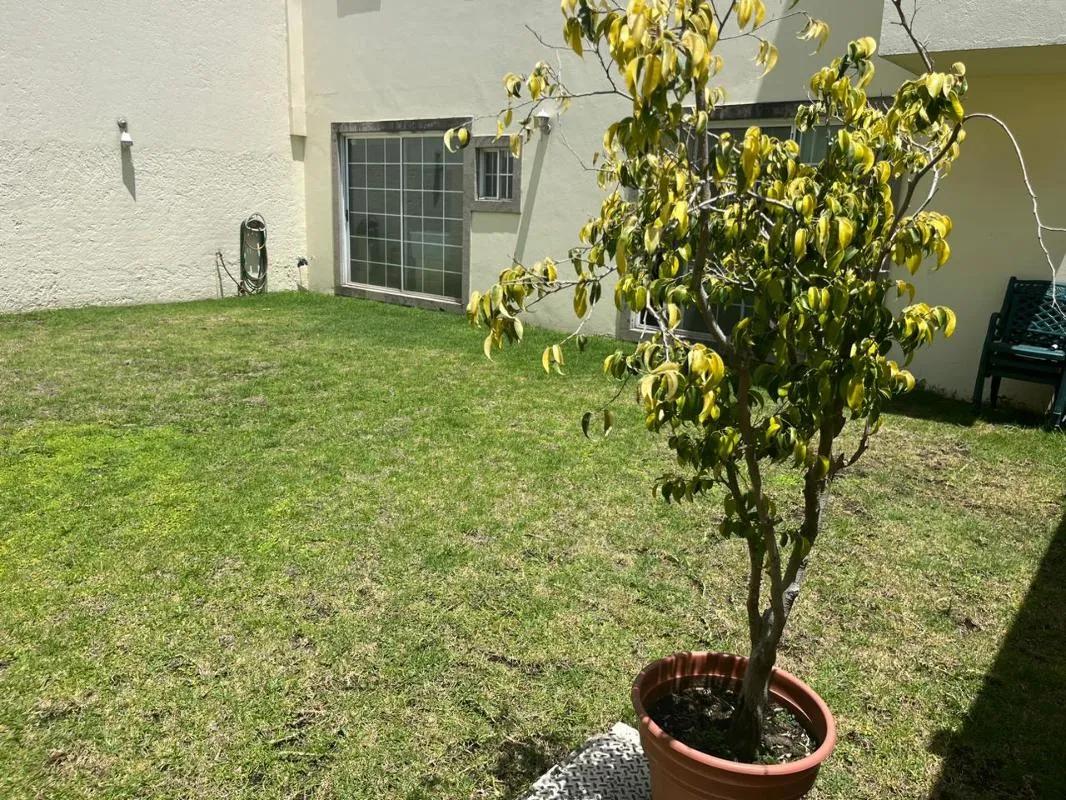 secondary property images 3