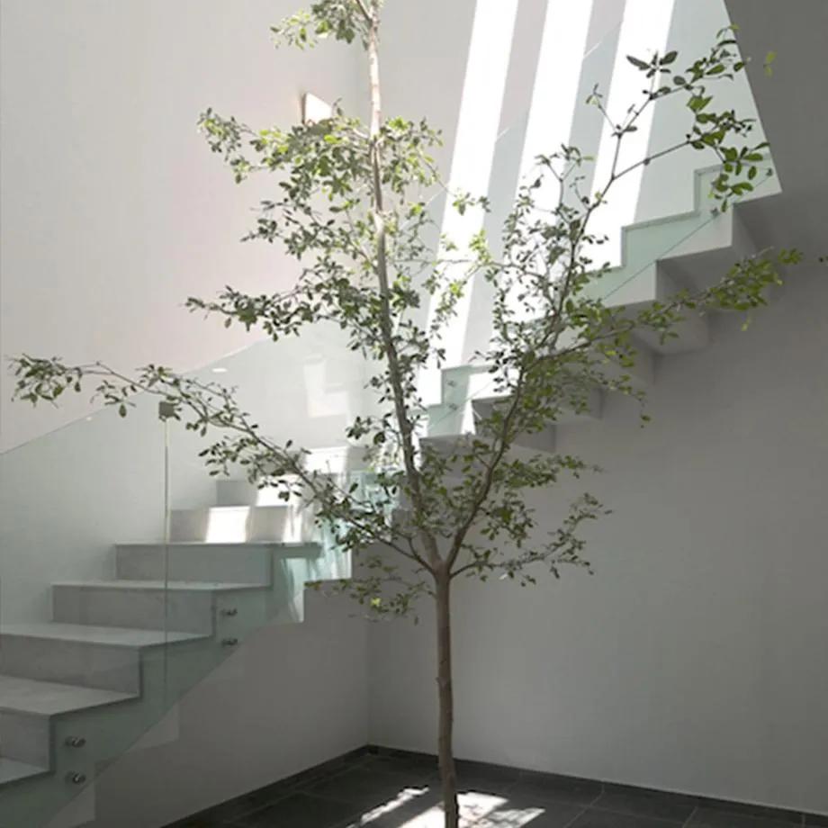 secondary property images 1