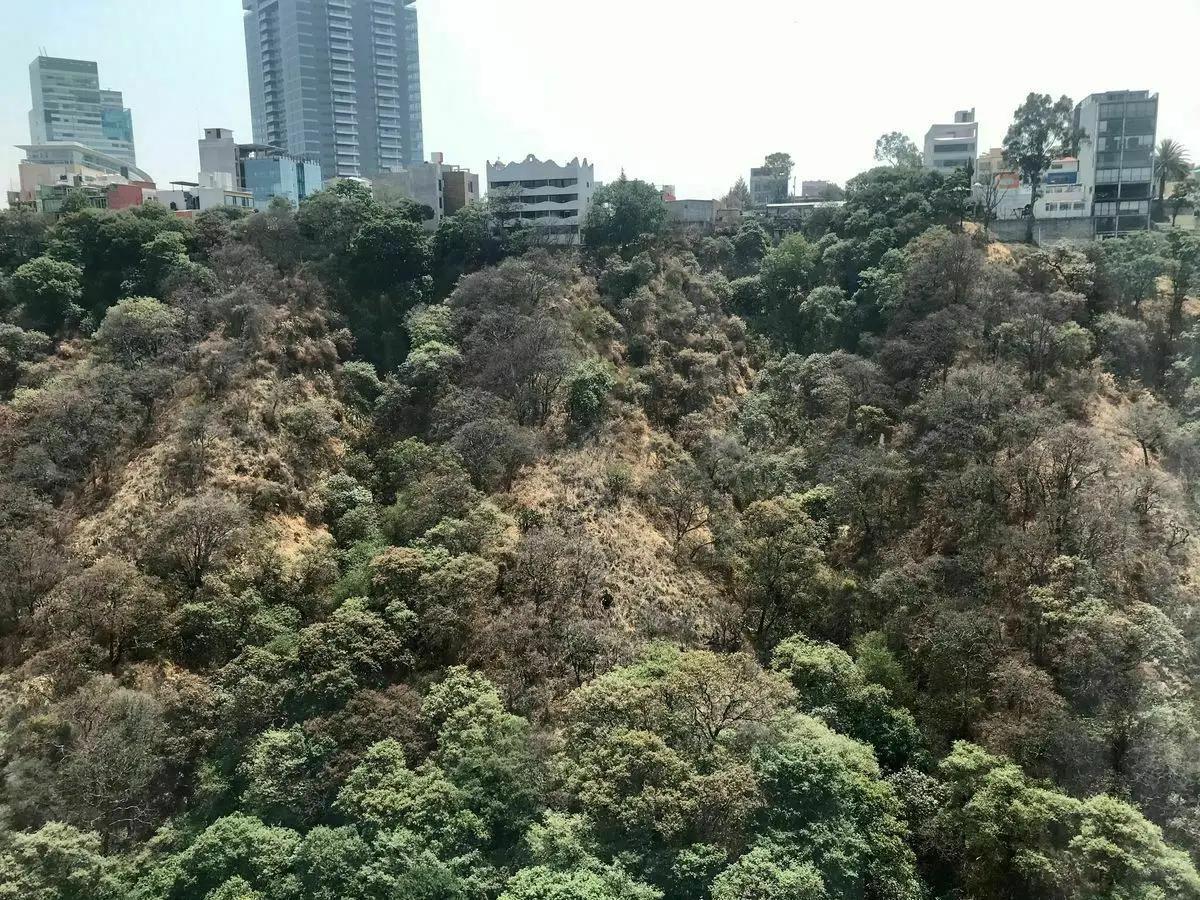 secondary property images 0