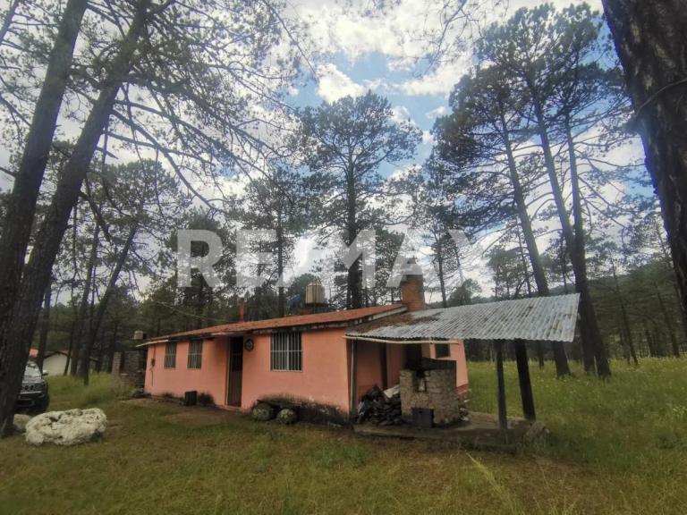 Property Image Property Image