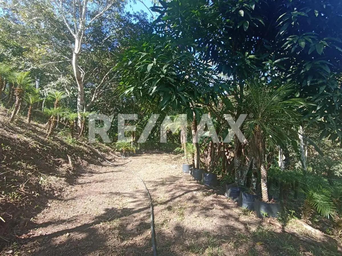 secondary property images 1