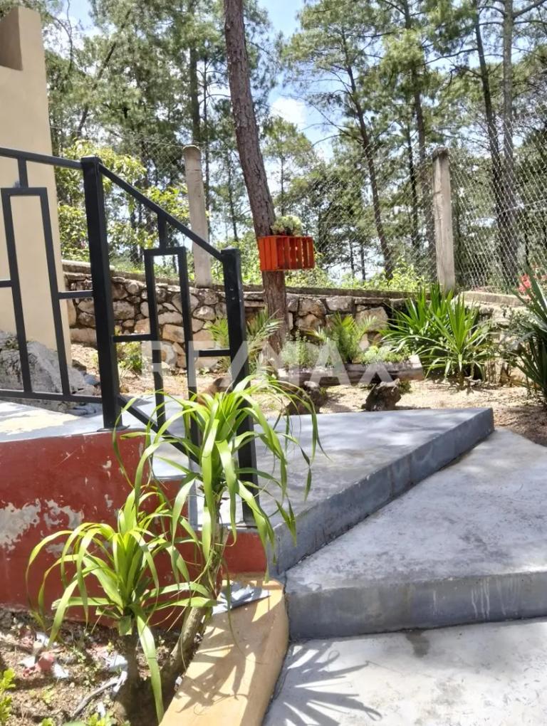 Property Image Property Image