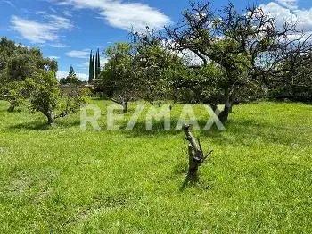 main property photo
