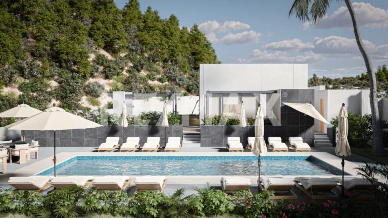 Property Image Property Image