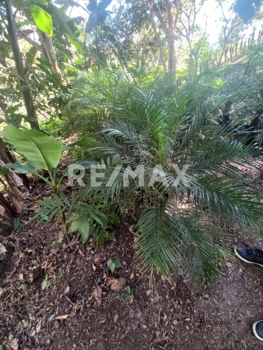 secondary property images 0