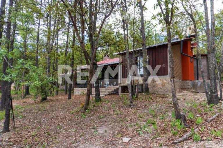 Property Image Property Image