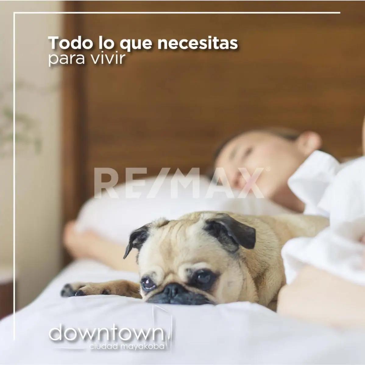 secondary property images 2