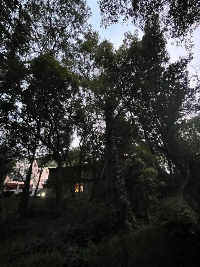 Property Image Property Image