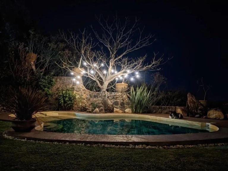 Property Image Property Image