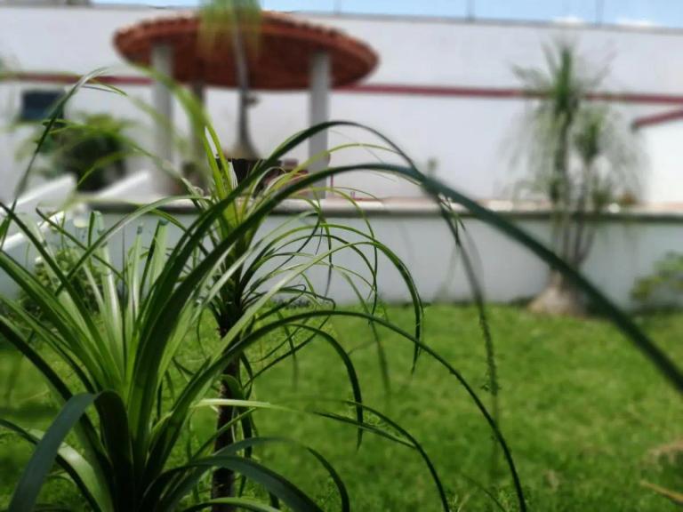 Property Image Property Image