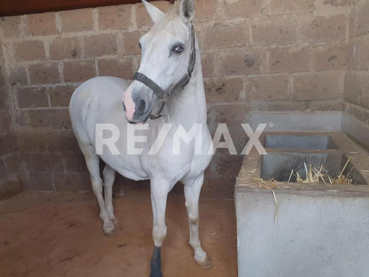 secondary property images 0