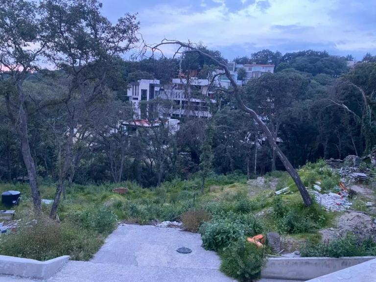 Property Image Property Image