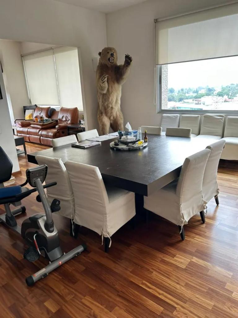 Property Image Property Image