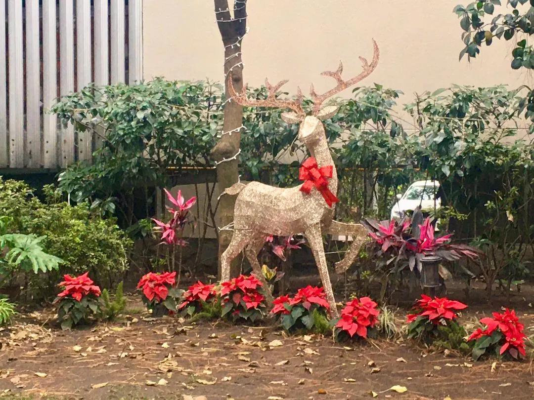 secondary property images 0