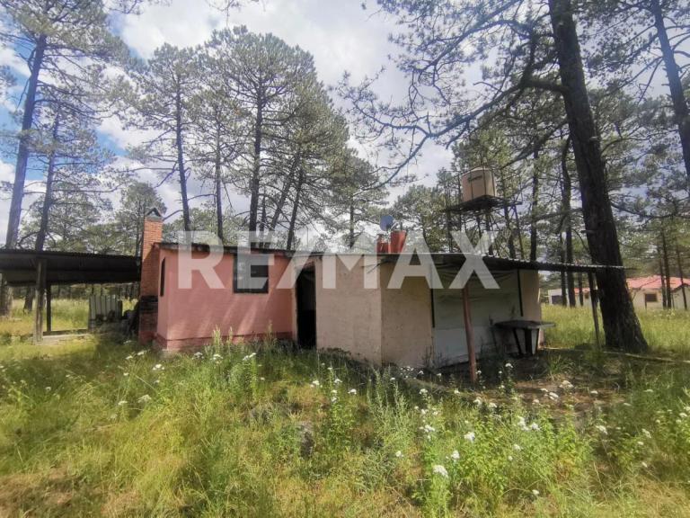Property Image Property Image