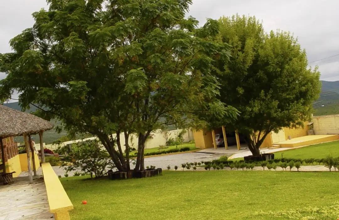 secondary property images 3