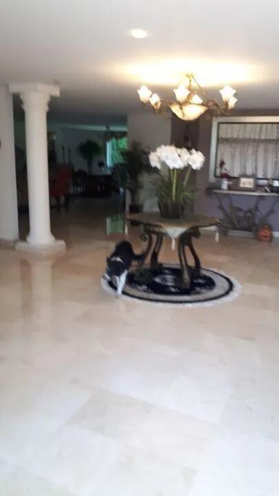 secondary property images 1