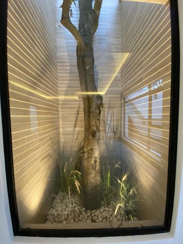 secondary property images 1