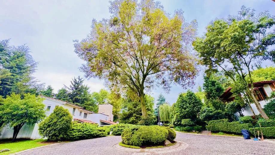 secondary property images 3