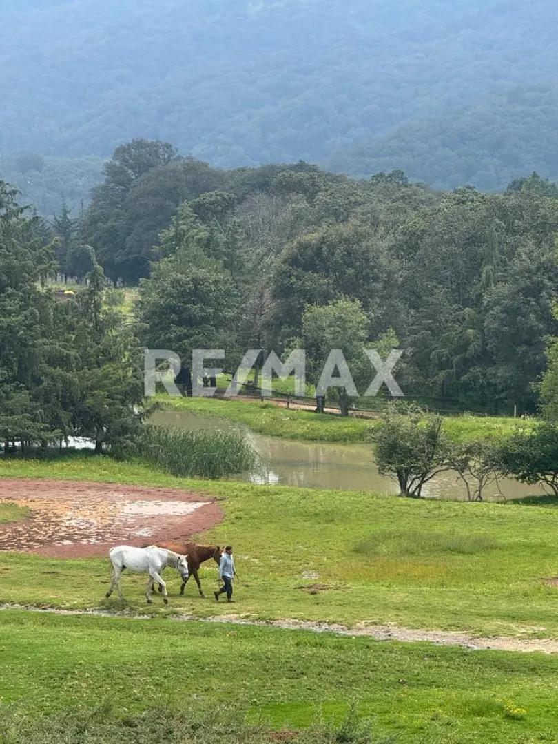 secondary property images 0