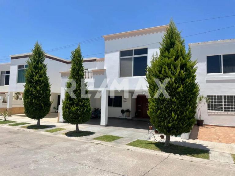 Property Image Property Image