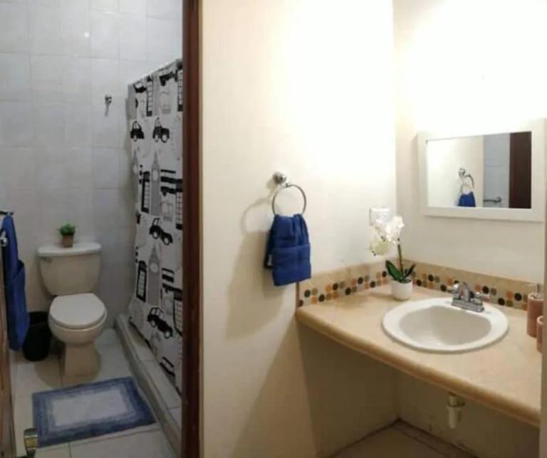 Property Image Property Image