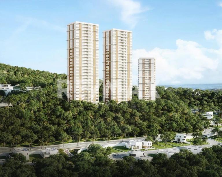 Property Image Property Image