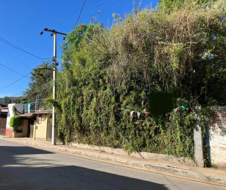 Property Image Property Image