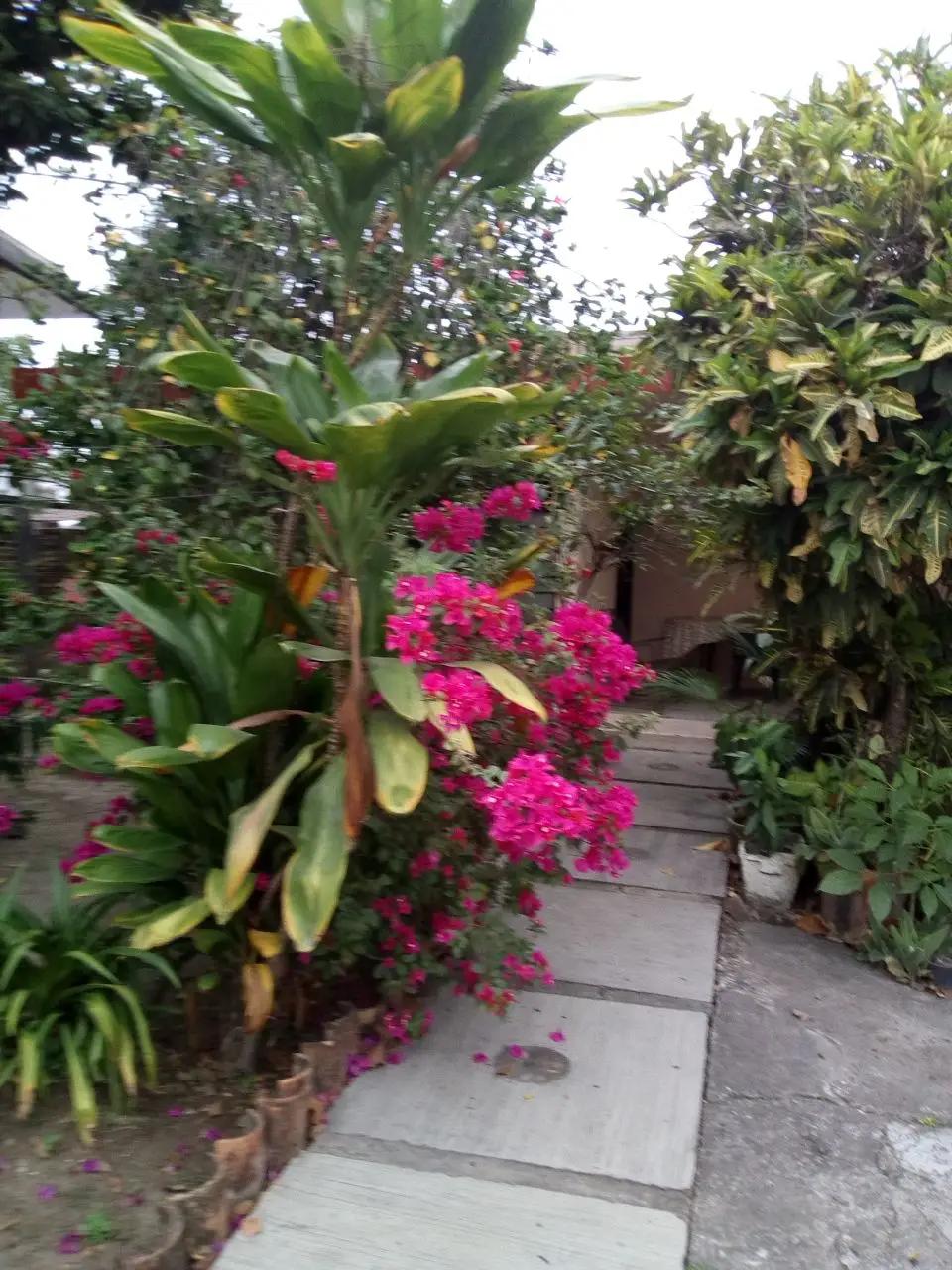 secondary property images 3
