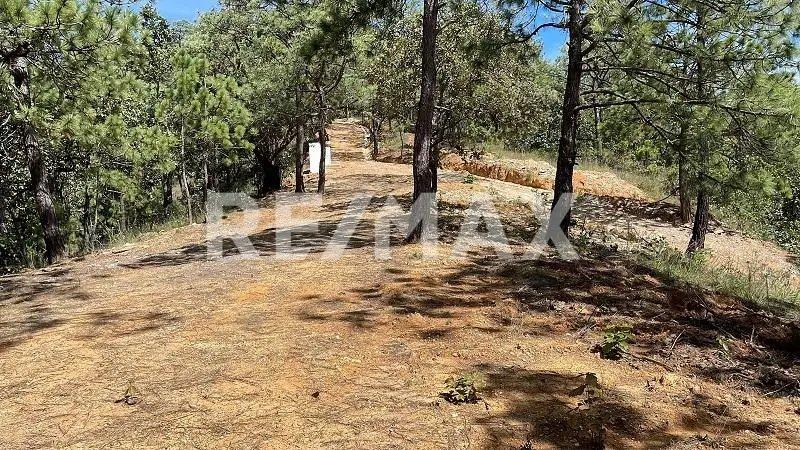 main property photo