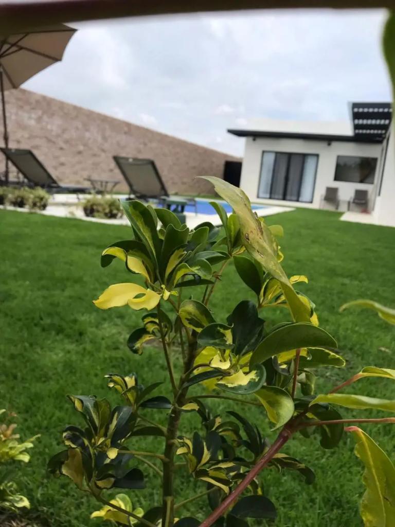 Property Image Property Image