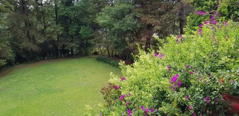 Property Image Property Image