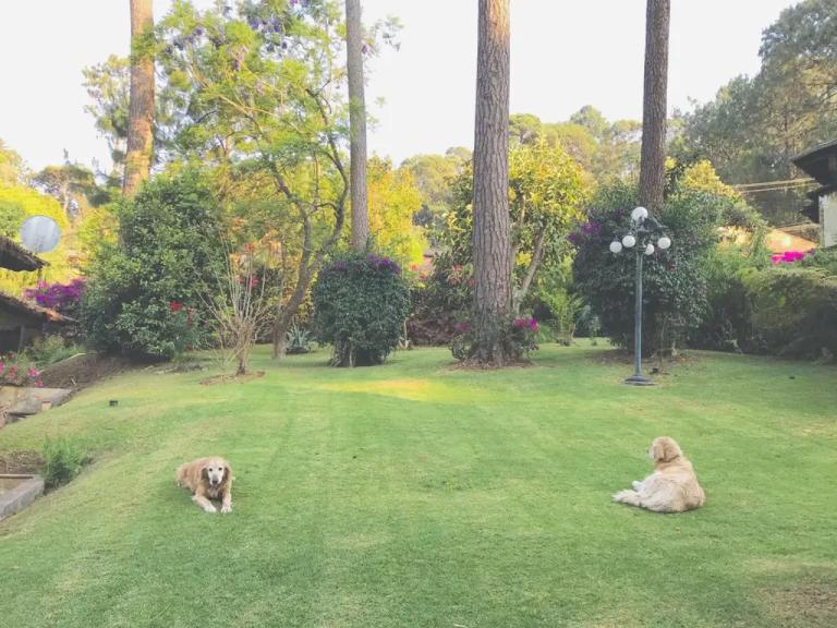 Property Image Property Image